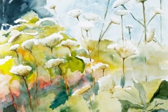 Elly Kalf "Kwiaty barszczu II"