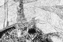 Iwona Cur "Adreidae, agreitae"