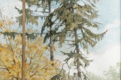 Leszek Żegalski "Świerki w ogrodzie"